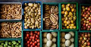 Foto: (Imagem sem texto alternativo disponivel ID [1827951])