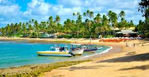 Foto: (Divulgação/Zarpo)