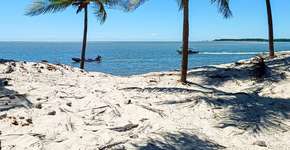 Foto: (Istock/JotaFoto)