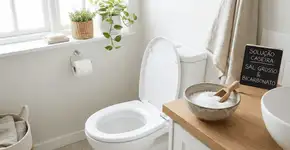 Foto: (Imagem sem texto alternativo disponivel ID [2750549])