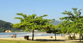 Foto: (Divulgação/PMU)