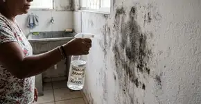 Nada de água sanitária ou detergente: a melhor maneira de eliminar o mofo de paredes e tetos