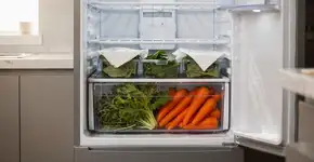 Foto: (Imagem sem texto alternativo disponivel ID [2720690])