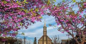 Foto: (Divulgação)