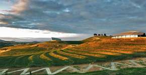 Viveiro de plantas na Austrália reúne as 100 espécies mais ameaçadas de extinção do mundo