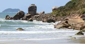 Foto: (Evandro Monteiro/SIMA)