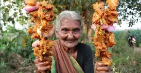 Foto: (Imagem sem texto alternativo disponivel ID [1433645])