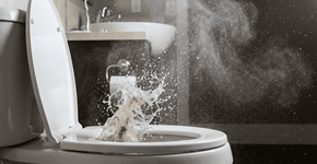 Foto: (Imagem sem texto alternativo disponivel ID [2751415])