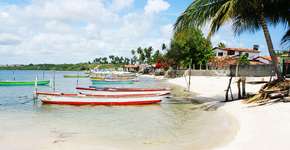 Foto: (Imagem sem texto alternativo disponivel ID [1394197])