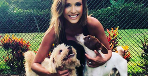 Luisa Mell denuncia mulher que matou cachorro a pauladas