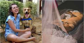 Casal adota cão que invadiu casamento e deitou no véu da noiva