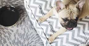 Foto: (Divulgação)