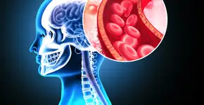 Foto: (Mohammed Haneefa Nizamudeen/istock)