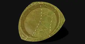 Prato descartável feito de folha de planta suporta calor de 90°C