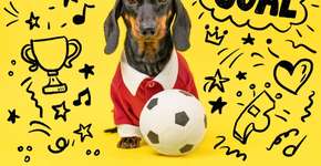 Foto: (Imagem sem texto alternativo disponivel ID [2766792])