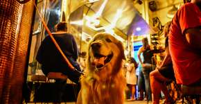 Foto: (Imagem sem texto alternativo disponivel ID [1018803])