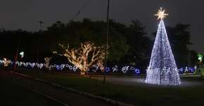 Foto: (Foto: Divulgação.)