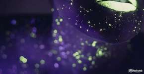 Foto: (Imagem sem texto alternativo disponivel ID [1894855])