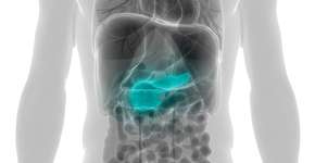 Foto: (magicmine/istock)