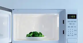 Foto: (Imagem sem texto alternativo disponivel ID [1605388])