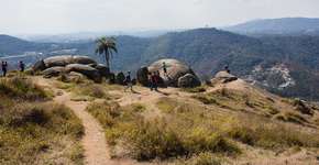 Foto: (Istock/Luiz Barrionuevo)