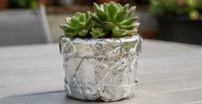 Foto: (Imagem sem texto alternativo disponivel ID [2726666])