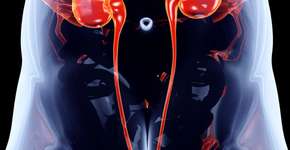 4 sinais de alerta do câncer renal