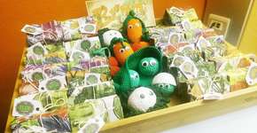 Foto: (Imagem sem texto alternativo disponivel ID [860194])