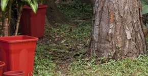 Foto: (Imagem sem texto alternativo disponivel ID [1860566])