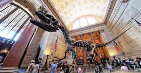 Foto: (Imagem sem texto alternativo disponivel ID [1140065])