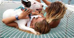 Casal brasileiro viaja e trabalha com um cachorro em veleiro