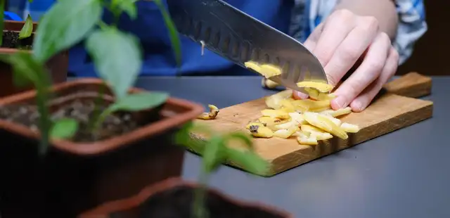 Carne de casca de banana: uma receita surpreendente