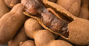 Qual fruta é excelente para controlar níveis de colesterol ruim?