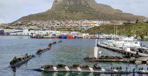 Foto: (André Araújo)