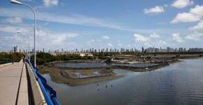 Foto: (Imagem sem texto alternativo disponivel ID [1868457])