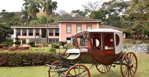 Foto: (Paulo Rodrigues/Divulgação)