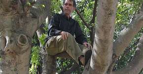 Foto: (Imagem sem texto alternativo disponivel ID [1860755])