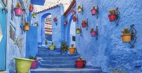 Foto: (Imagem sem texto alternativo disponivel ID [2153772])