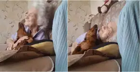 Encontro entre avó com alzheimer e cachorro emociona internautas