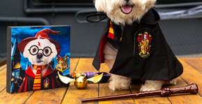 Petlloween do Shopping Eldorado traz atrações assustadoramente divertidas para famílias