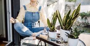 Aprenda simpatias e plantas para proteger o lar de energias negativas