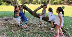 Virada da Primeira Infância