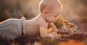 Foto: (Imagem sem texto alternativo disponivel ID [743925])