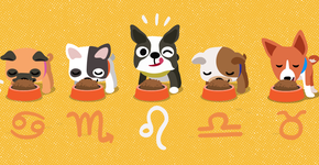 Foto: (Camila Lustosa/Catraca Livre)