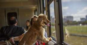 Trem turístico de Curitiba ganha vagão pet friendly