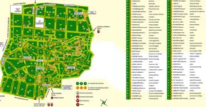 Foto: (Imagem sem texto alternativo disponivel ID [589859])