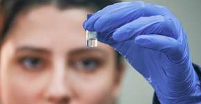 Foto: (Divulgação/IEL)