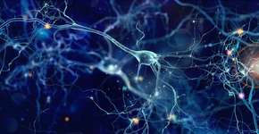 Foto: (whitehoune/istock)