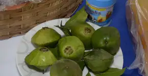 Foto: (Foto: Divulgação.)