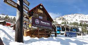 Foto: (Divulgação)